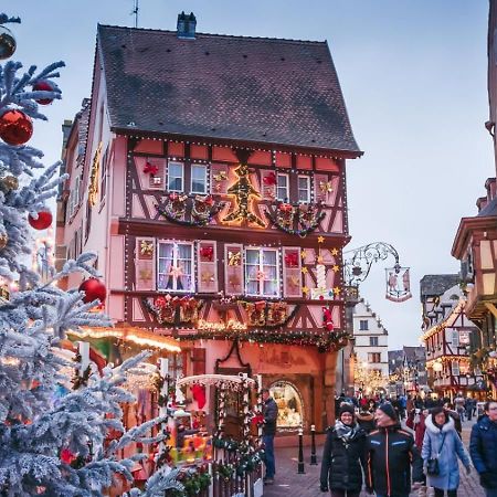 Le Rosacker - Proche Centre Ville Et Gare - Terrasse - Parking Gratuit 2 Places - 2 Chambres - 2 Salles De Bain - Netflix Colmar Exterior foto